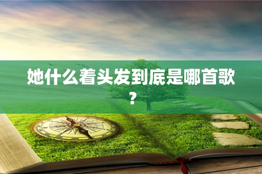 她什么着头发到底是哪首歌？