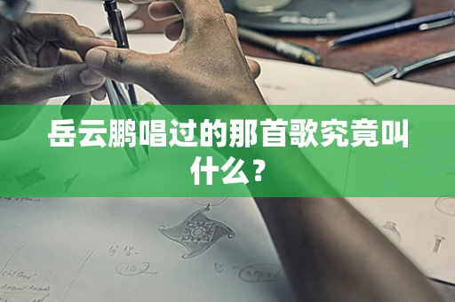 岳云鹏唱过的那首歌究竟叫什么？