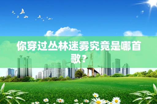 你穿过丛林迷雾究竟是哪首歌？