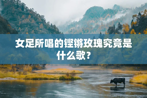 女足所唱的铿锵玫瑰究竟是什么歌？
