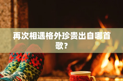 再次相遇格外珍贵出自哪首歌？