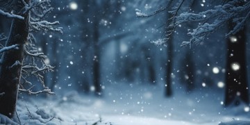 雪下的时候这首歌究竟表达了什么意思？