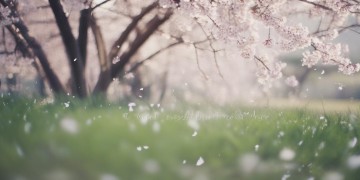 命中注定我们逃离究竟是哪首歌？