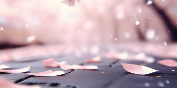 因为你的温柔这句歌词出自哪首歌？