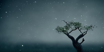 专一而固执究竟是哪首歌？