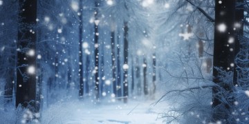 又见雪花飞究竟出自哪首歌？