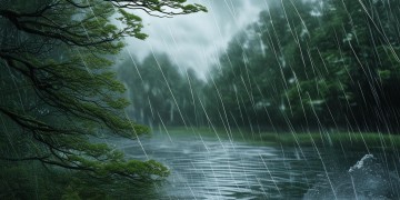 雨里风吹呀吹究竟是哪首歌？