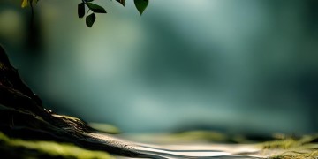 也走过这句歌词出自哪首歌？