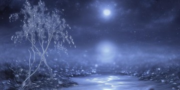 浮生为卿歌魂究竟是什么意思？