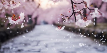 此待人间又一别出自什么歌？