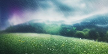 迎着风迎着雨究竟是哪首歌？