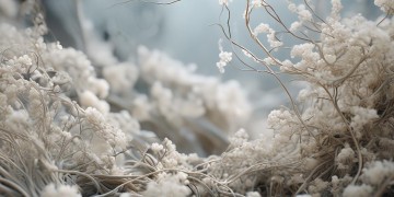 纷纷绕绕着人间究竟是哪首歌？