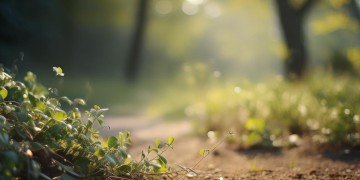 随风飘流的声音究竟出自哪首歌？