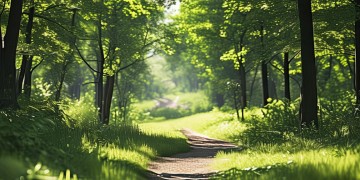 先辈走过的路是哪首歌？