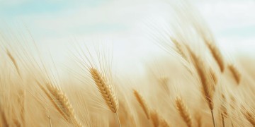被风吹北风吹到底是什么歌？