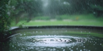 袅袅淅沥雨飘飘出自哪首歌？