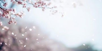 我也曾经放过你出自哪首歌？