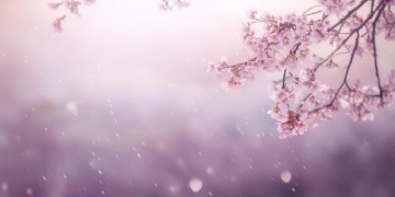 相思化作了无忧究竟是哪首歌？