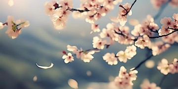错的人都会分开吗出自哪首歌？