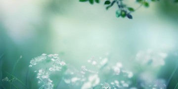 我们轻轻的治愈究竟是哪首歌？