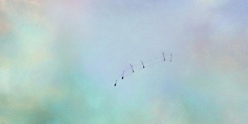 什么都不去到底是哪首歌？