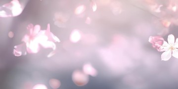 爱你什么点模样这句歌词出自哪首歌？