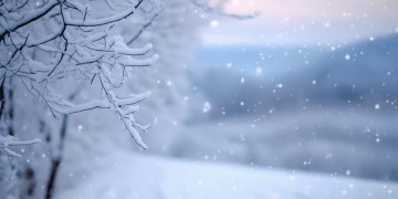 我想念那个不下雪的冬天出自哪首歌？